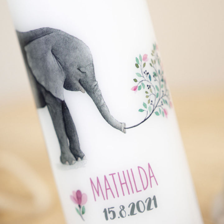 Elefant hält mit dem Rüssel einen Zweig aus Blüten und Beeren